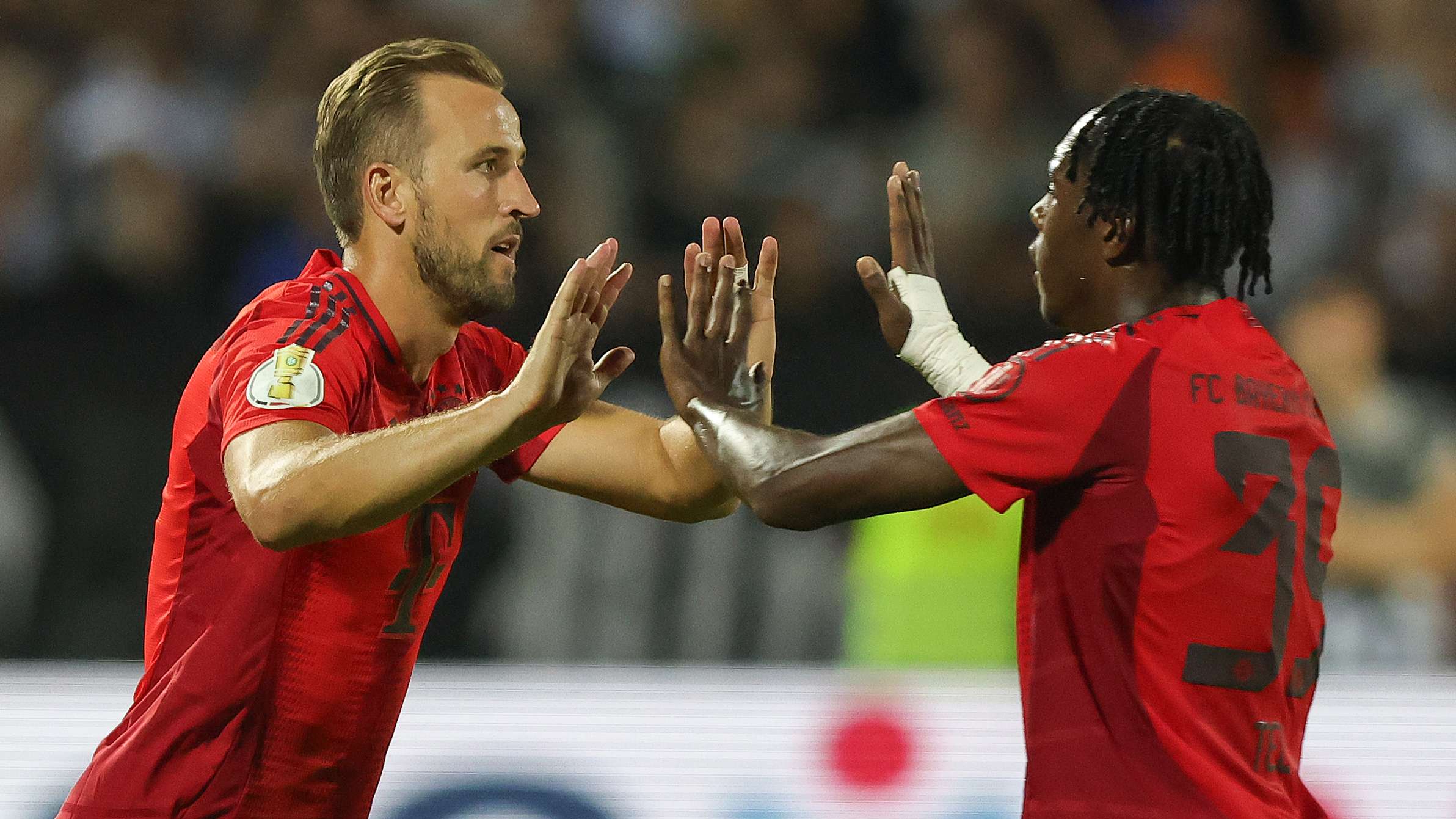 蒙紮不仅为 蒙紮不仅为