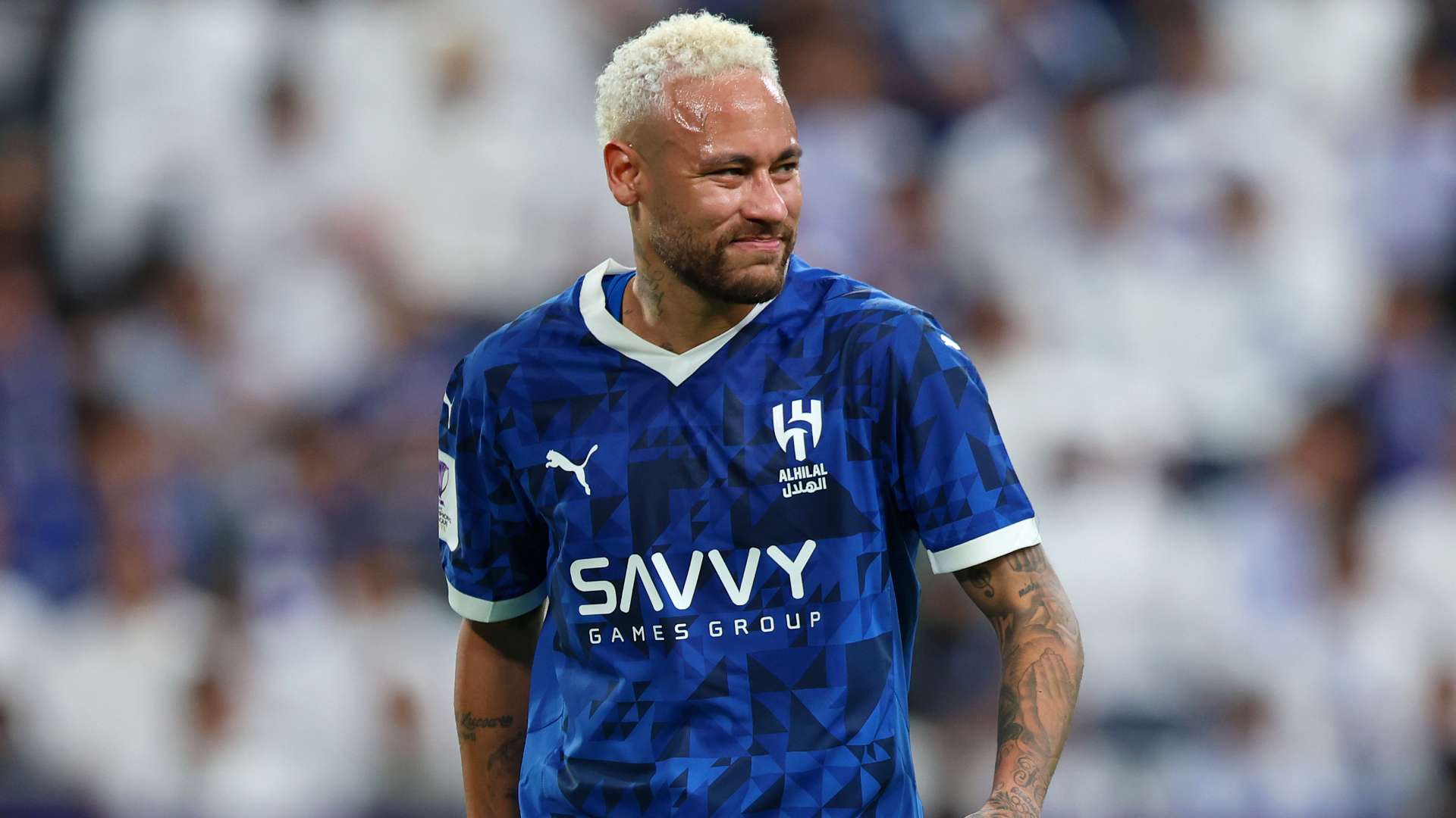 塞费罗维奇 塞费罗维奇